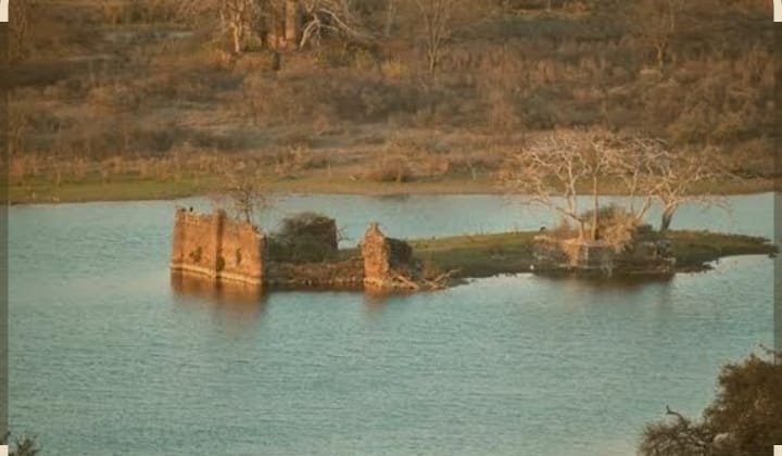 Surwal Lake in Ranthambore national Park