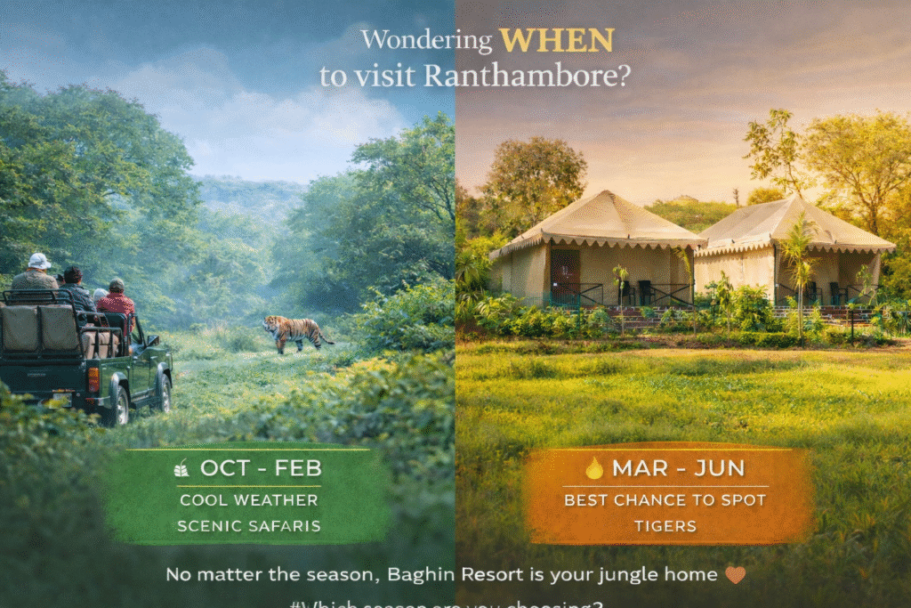 Best time for ranthambore safari